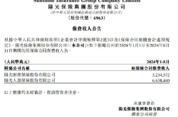 阳光人寿保单查询,全方位指南与便捷方式