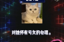 娱乐八卦直播吃瓜,揭秘娱乐圈幕后八卦，吃瓜群众狂欢时刻
