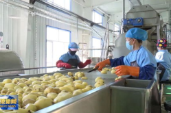 农产品加工,从田间到餐桌的华丽蜕变