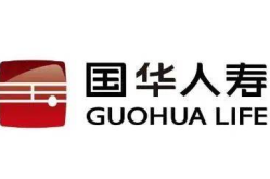 国华人寿官网,稳健发展，创新引领，打造寿险行业新标杆”