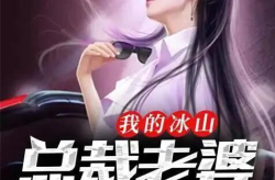 小说我的冰山总裁老婆免费阅读,我的冰山总裁老婆