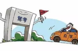 一起考驾照,从理论到实践，轻松掌握考驾照全流程