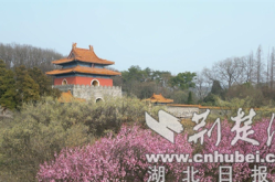 钟祥免费旅游钟祥：不负风光美景 “花样”文旅激活一池春水