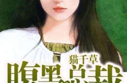 总裁抱抱娱乐,揭秘娱乐圈背后的温馨故事