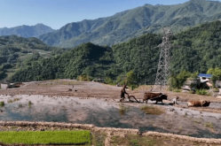 春游陕西正当时！2025最全春游指南2025年5月22日陕西旅游局