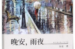 雨夜娱乐小说,都市悬疑小说的惊悚之旅