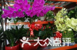 深圳鲜花店,情感传递的艺术之窗”